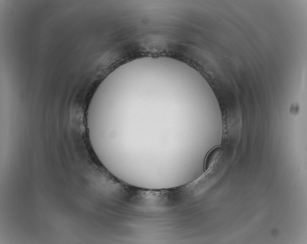 X0000096970187200802291130