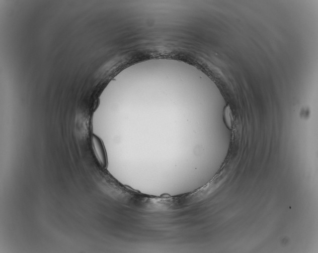 X0000096970188200802291130