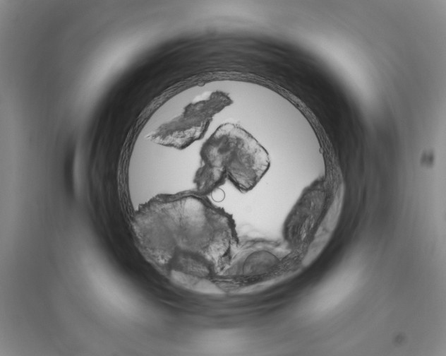 X0000096970189200802291130