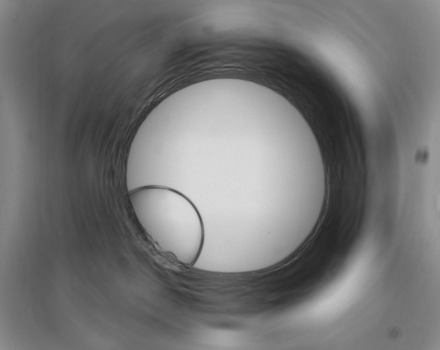 X0000096970190200802291130