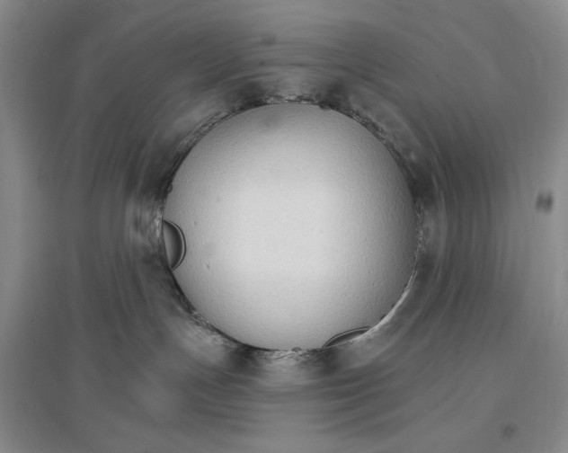 X0000096970191200802291130