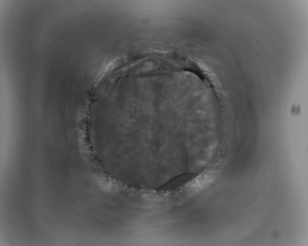 X0000096970192200802291130