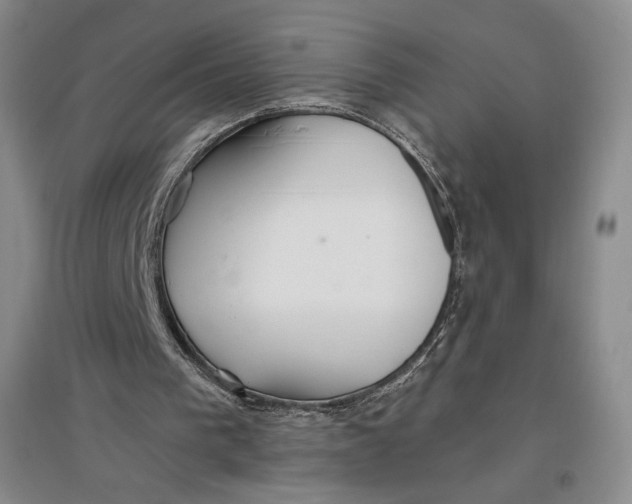 X0000096970193200802291130