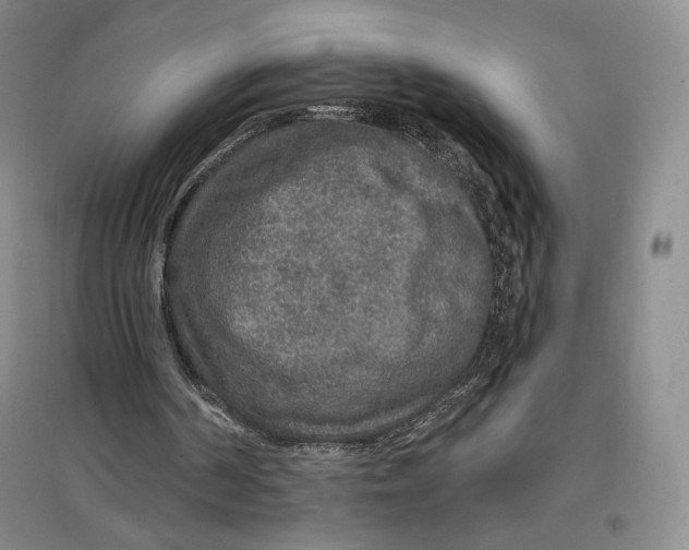 X0000096970194200802291130