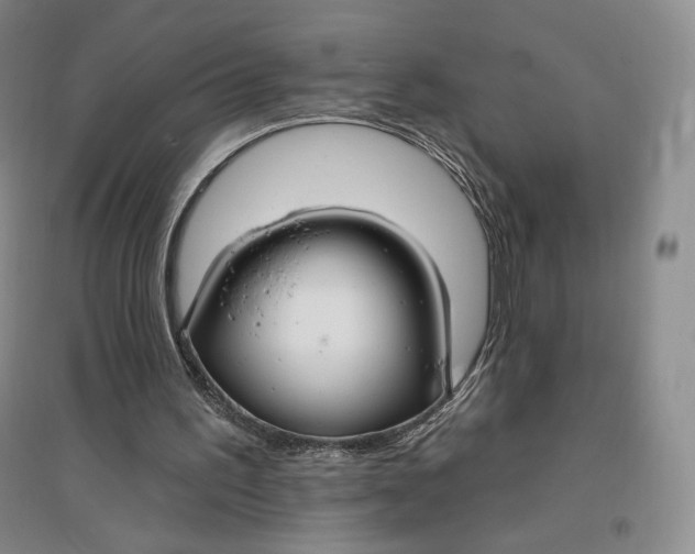 X0000096970195200802291130