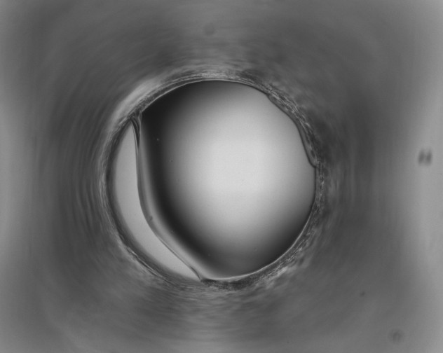 X0000096970197200802291130