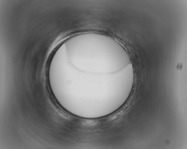 X0000096970198200802291130