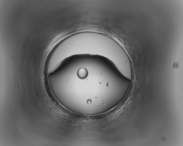 X0000096970199200802291130