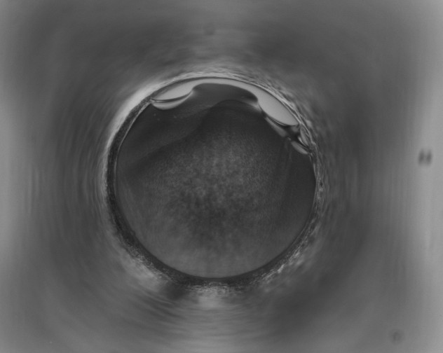 X0000096970200200802291130