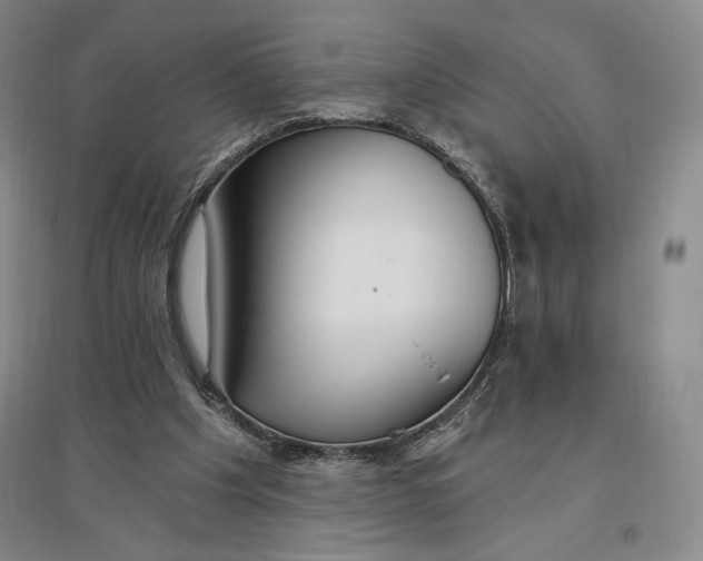 X0000096970201200802291130