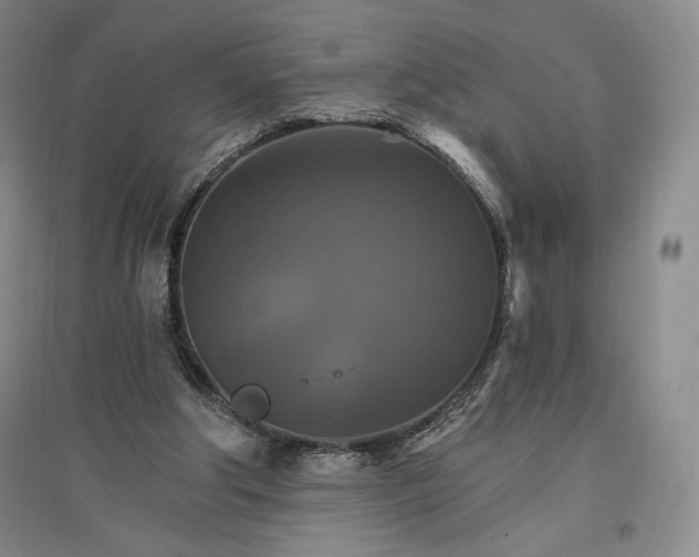 X0000096970202200802291130