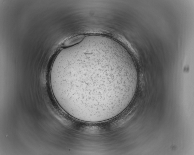 X0000096970203200802291130