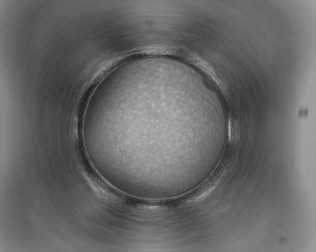 X0000096970205200802291129