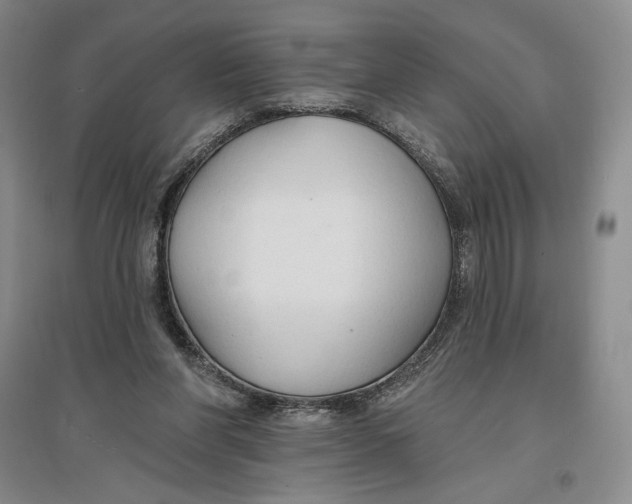 X0000096970206200802291129