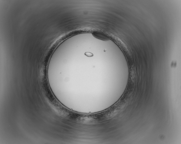 X0000096970208200802291129