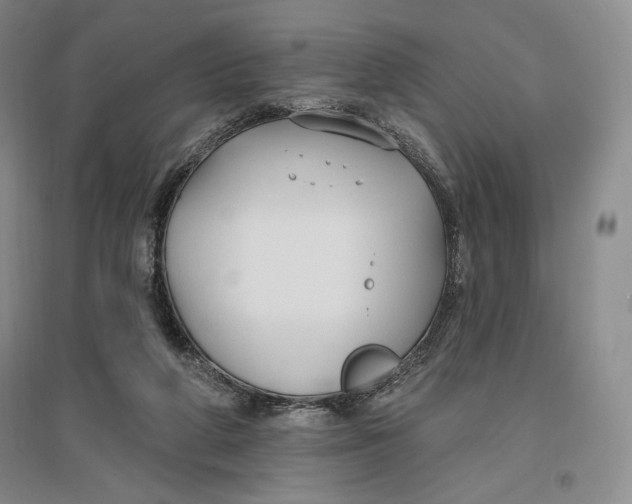 X0000096970210200802291129