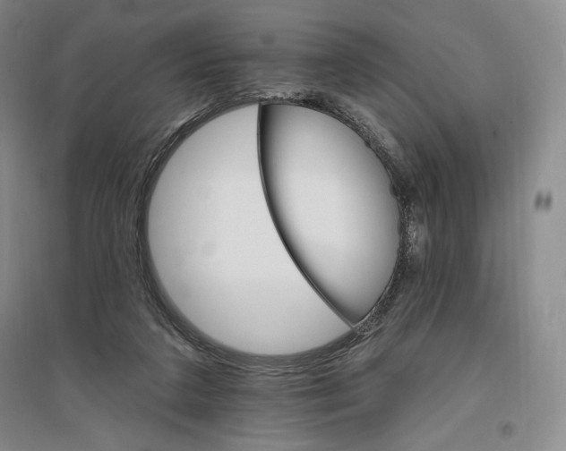 X0000096970211200802291129