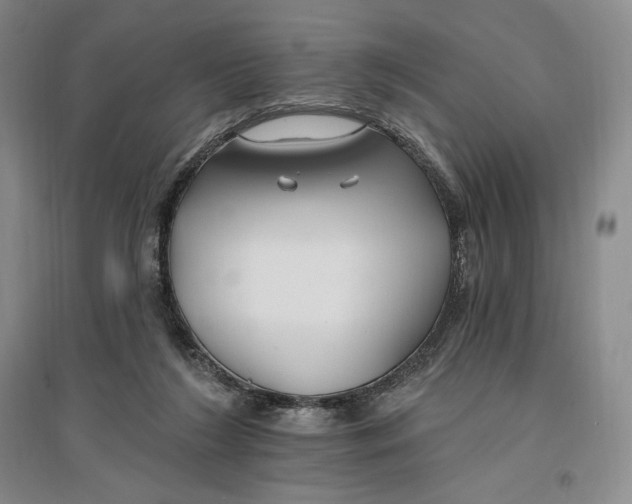 X0000096970212200802291129