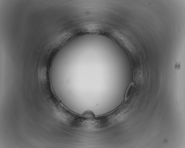 X0000096970213200802291129