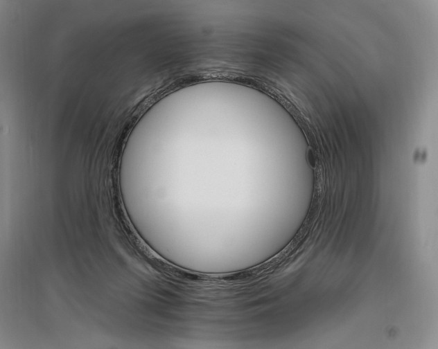 X0000096970215200802291129