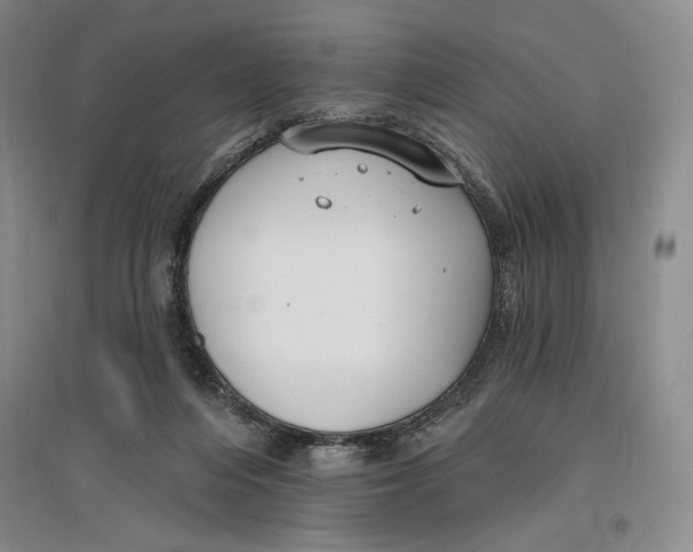 X0000096970216200802291129