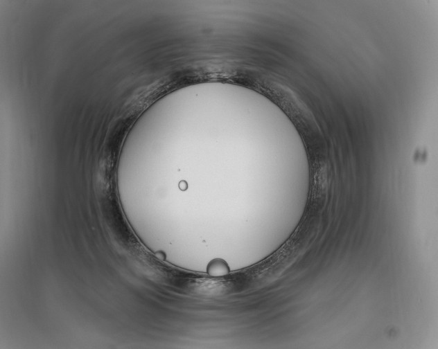 X0000096970218200802291129