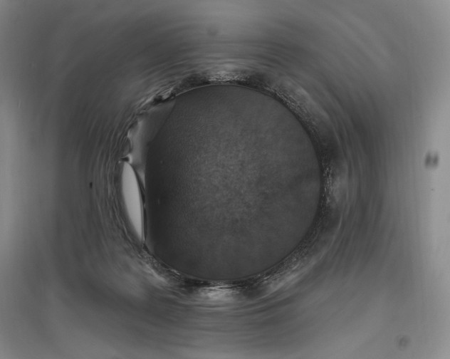 X0000096970219200802291129