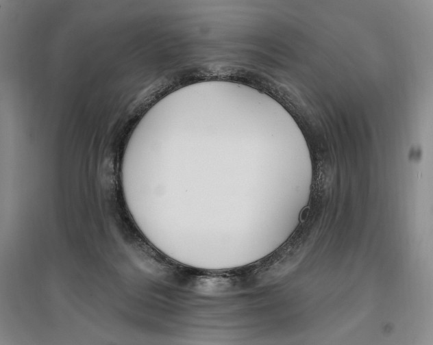 X0000096970220200802291129