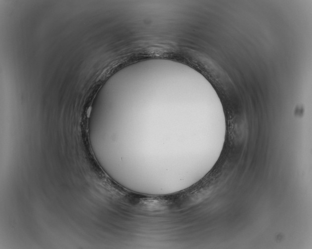 X0000096970221200802291129