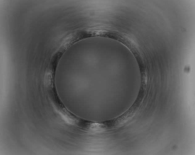 X0000096970222200802291129