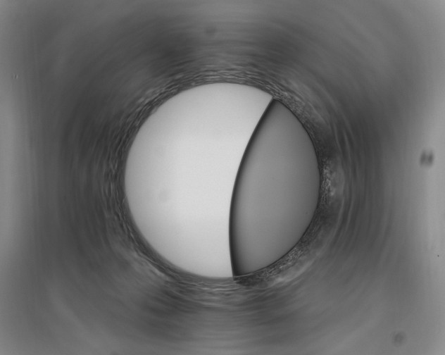 X0000096970223200802291129