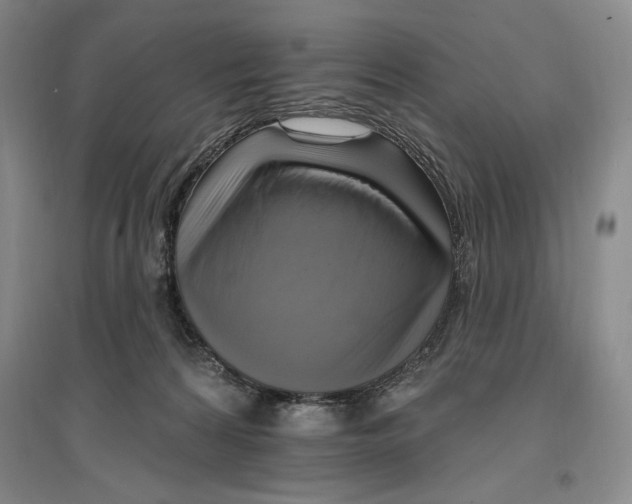 X0000096970224200802291129