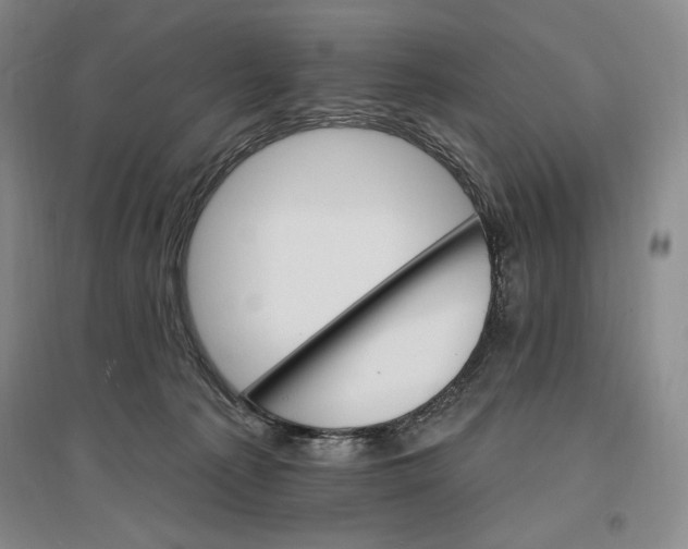 X0000096970225200802291129