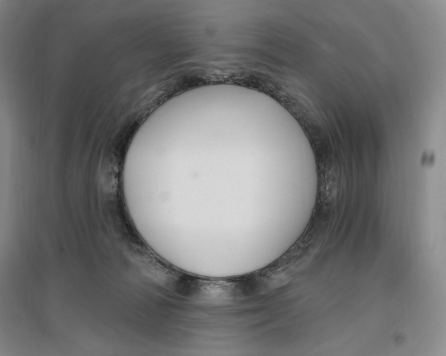 X0000096970226200802291129