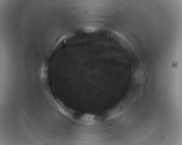 X0000096970227200802291129