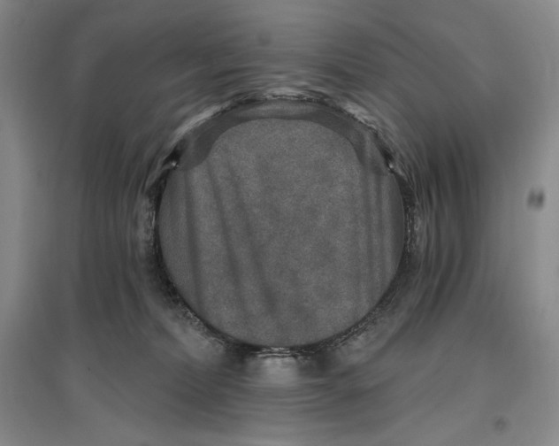 X0000096970228200802291129