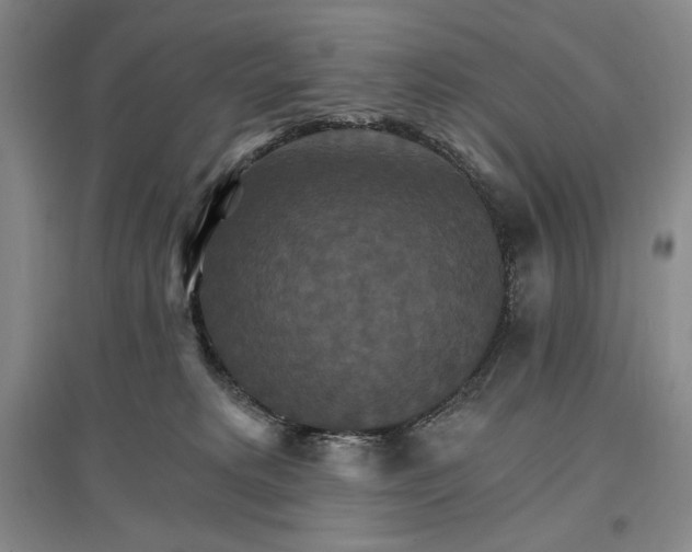 X0000096970229200802291129