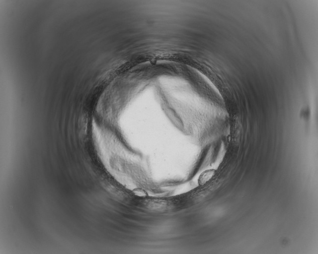 X0000096970230200802291129