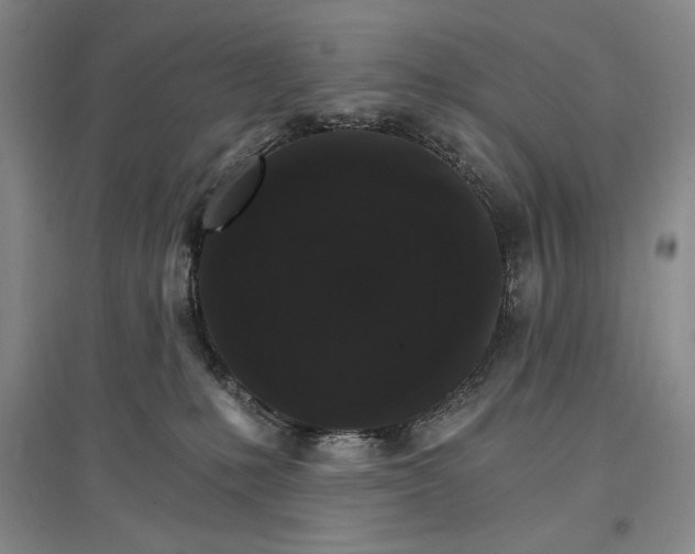 X0000096970231200802291129