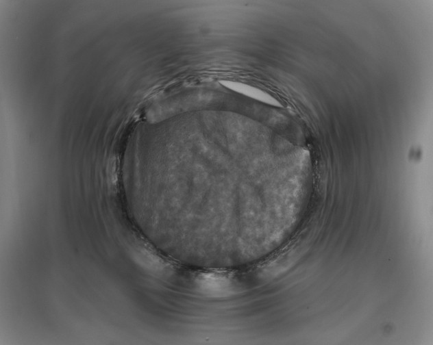 X0000096970232200802291129