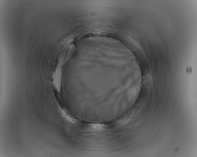 X0000096970233200802291129