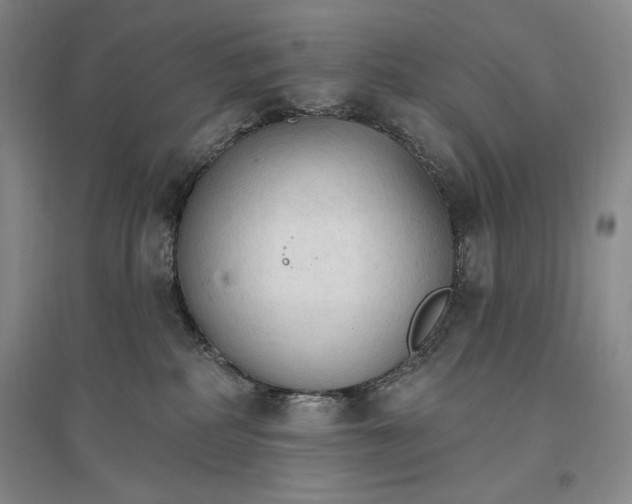 X0000096970234200802291129