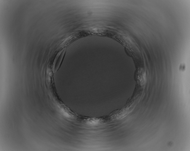 X0000096970235200802291129