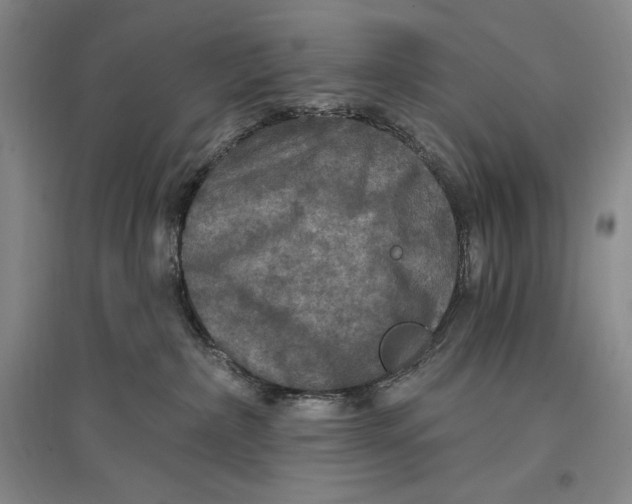 X0000096970236200802291129