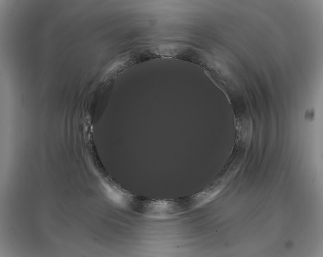 X0000096970237200802291129