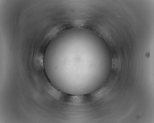 X0000096970238200802291129