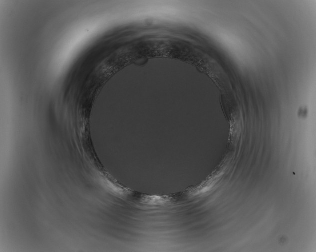 X0000096970239200802291129