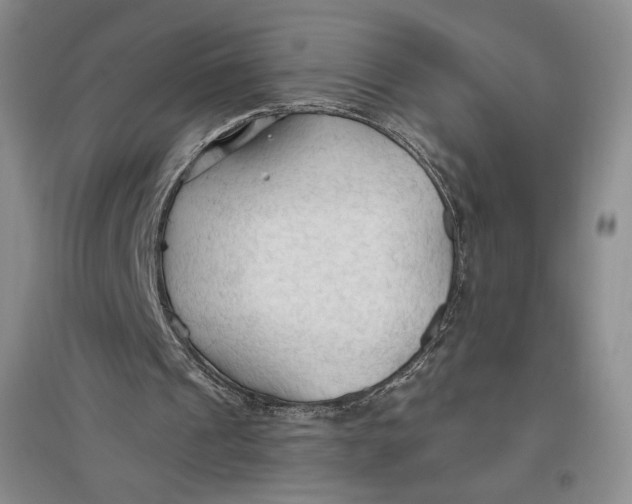 X0000096970241200802291128