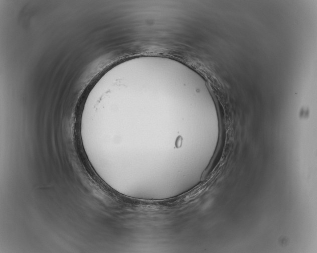 X0000096970242200802291128