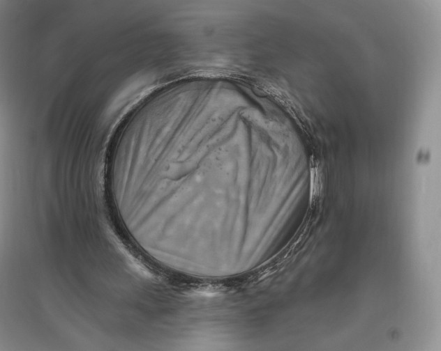 X0000096970243200802291128